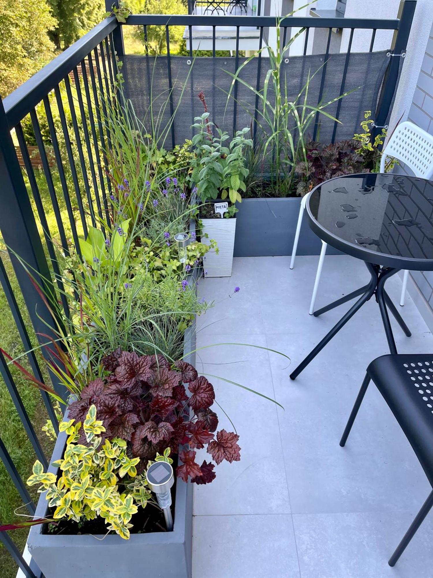 Adx24 Apartment